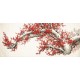 Plum - CNAG004148