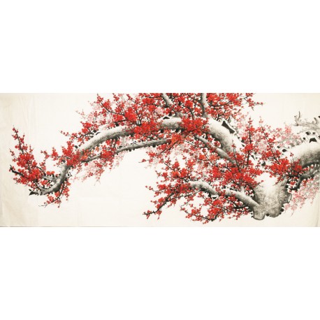 Plum - CNAG004148