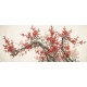Plum - CNAG004149