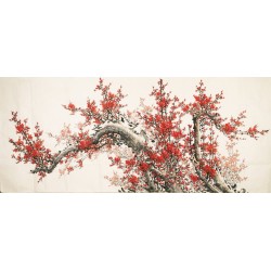 Plum - CNAG004149