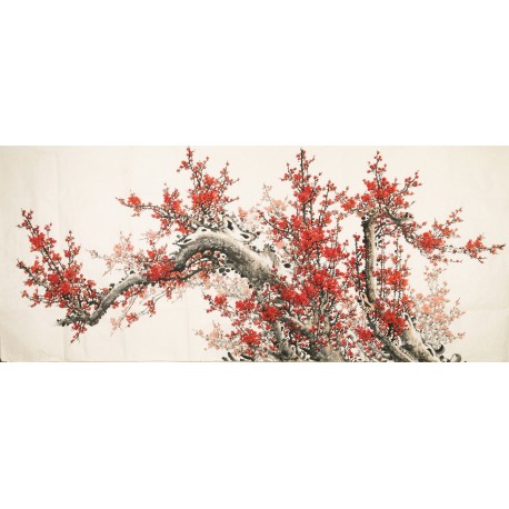 Plum - CNAG004149