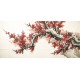 Plum - CNAG004150