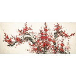 Plum - CNAG004152