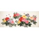 Peony - CNAG004154