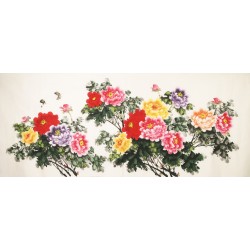 Peony - CNAG004154