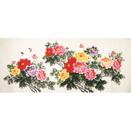 Peony - CNAG004154