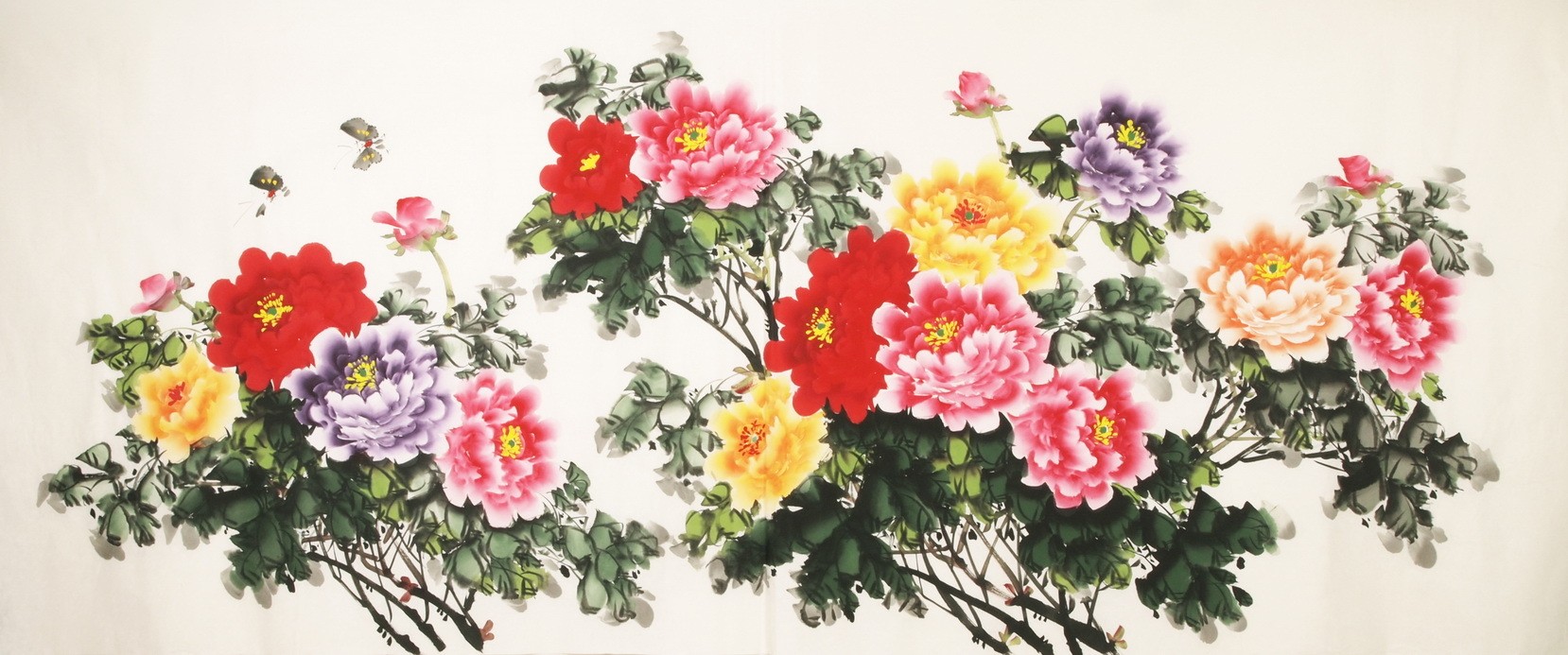 Peony - CNAG004154
