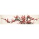 Plum - CNAG004156