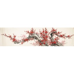 Plum - CNAG004156