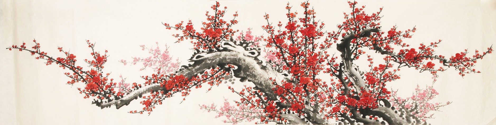 Plum - CNAG004156