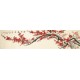 Plum - CNAG004157