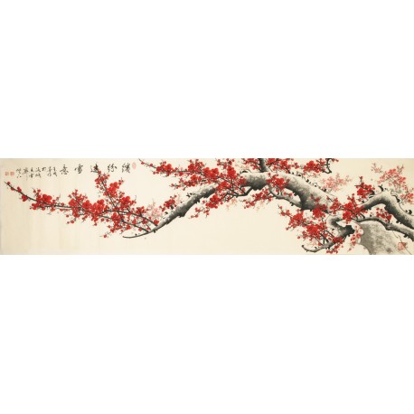 Plum - CNAG004157