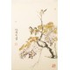 Other Birds - CNAG000416