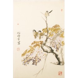 Other Birds - CNAG000416
