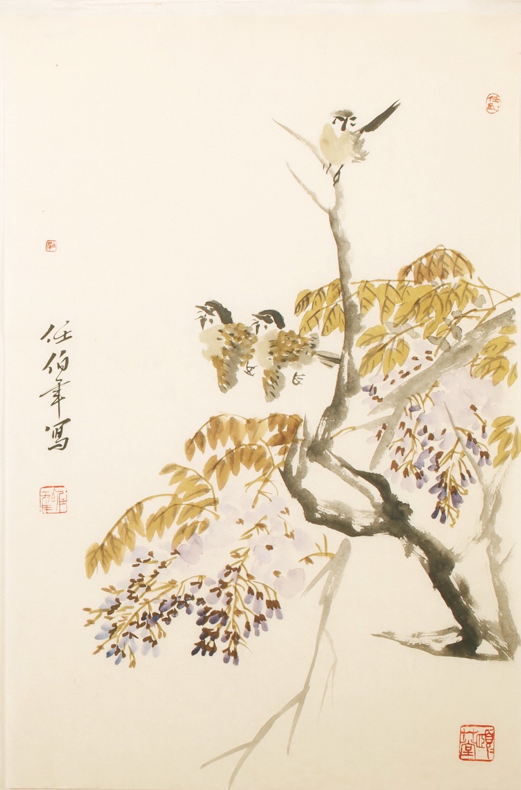 Other Birds - CNAG000416