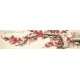Plum - CNAG004158