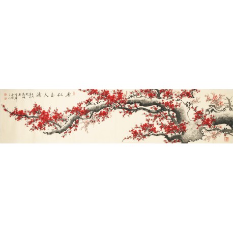 Plum - CNAG004158