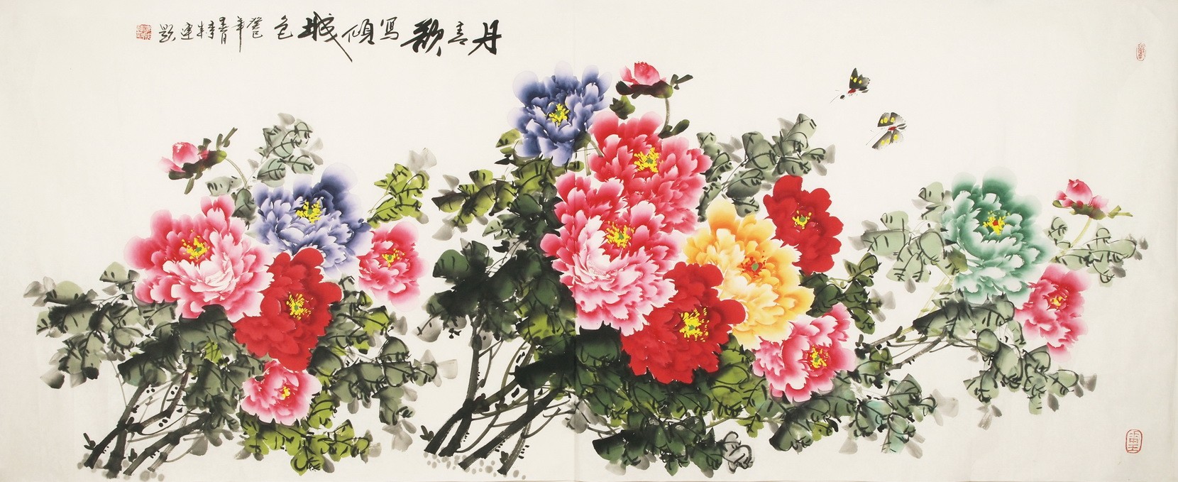 Peony - CNAG004161