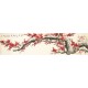 Plum - CNAG004163