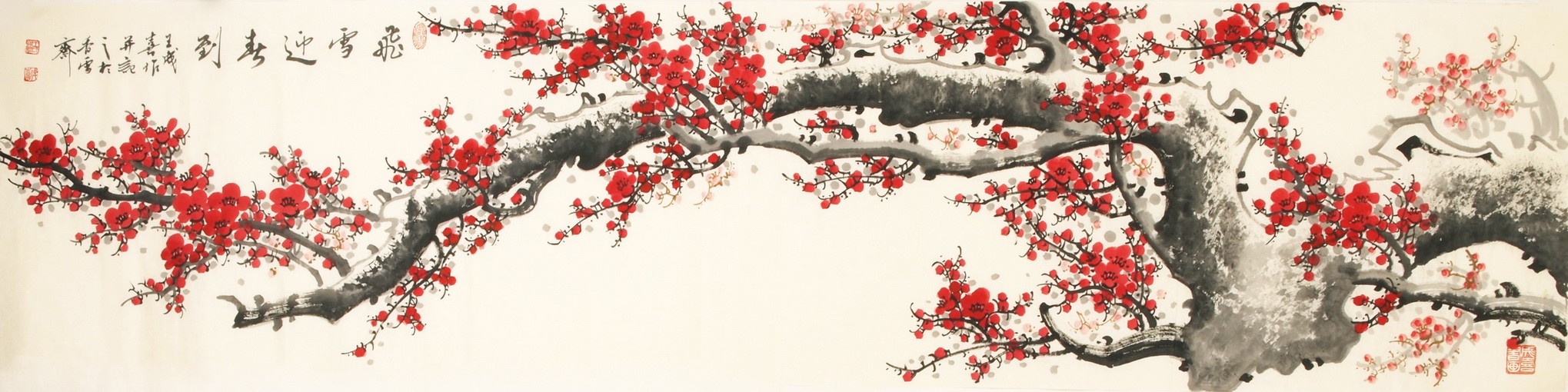 Plum - CNAG004163