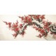 Plum - CNAG004164