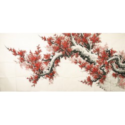 Plum - CNAG004164