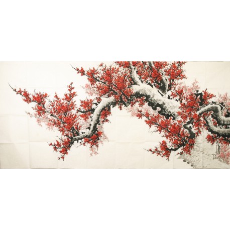 Plum - CNAG004164