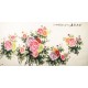 Peony - CNAG004165