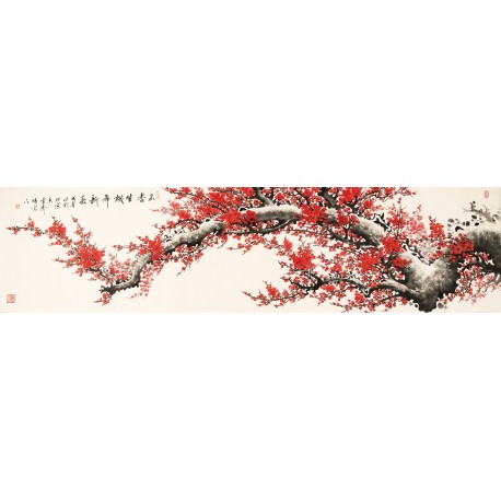 Plum - CNAG004166