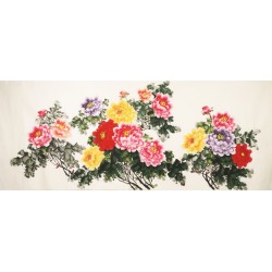 Peony - CNAG004167
