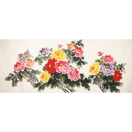 Peony - CNAG004167