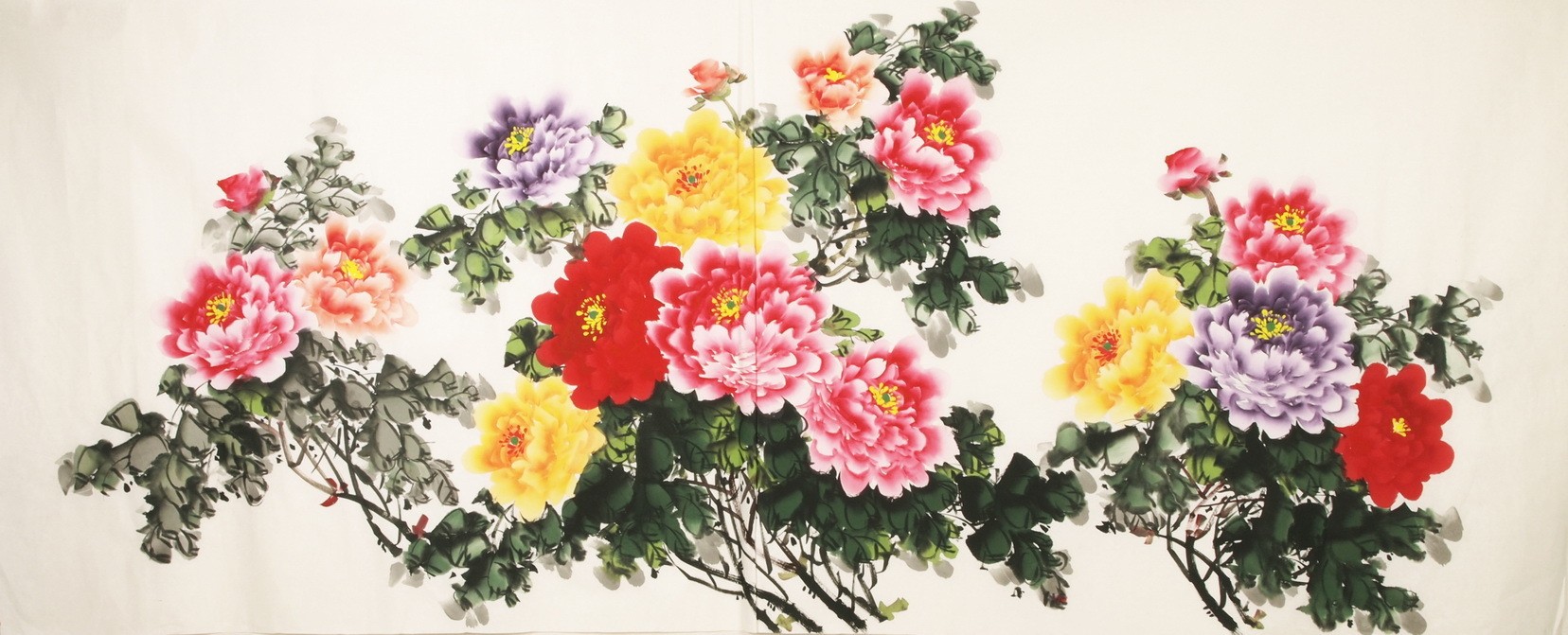 Peony - CNAG004167