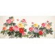 Peony - CNAG004168