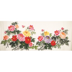Peony - CNAG004168