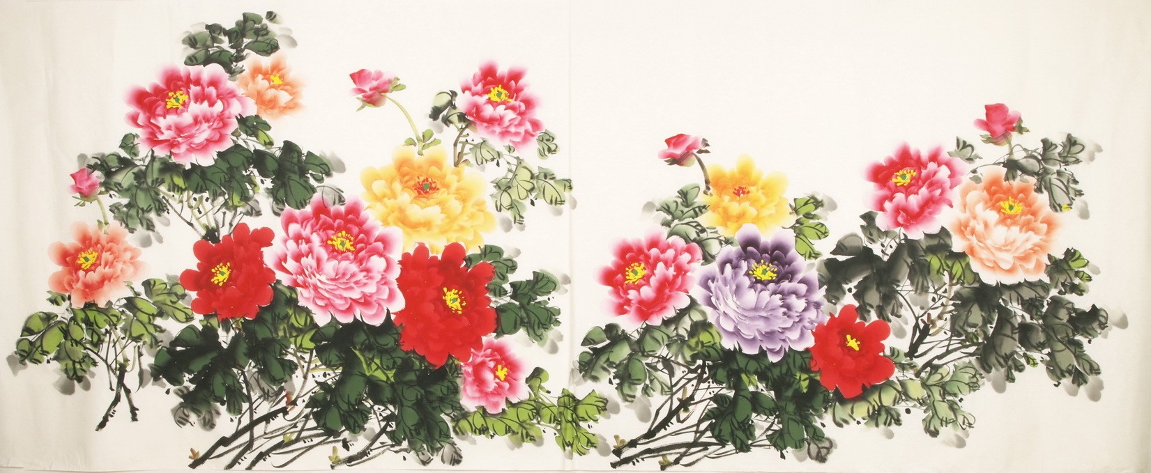 Peony - CNAG004168