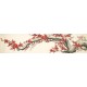 Plum - CNAG004169