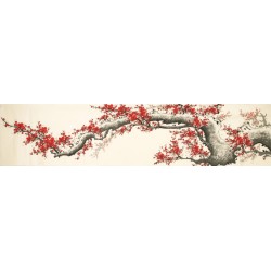 Plum - CNAG004169