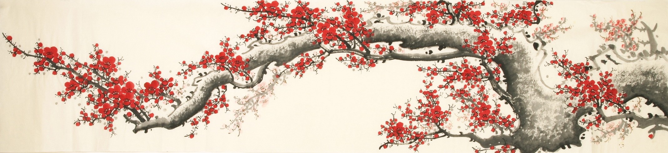 Plum - CNAG004169