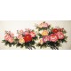 Peony - CNAG004176