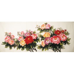 Peony - CNAG004176