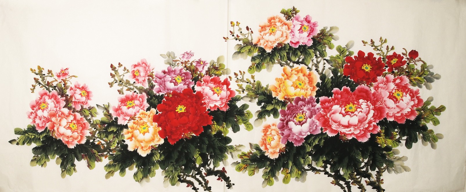 Peony - CNAG004176
