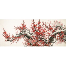 Plum - CNAG004177