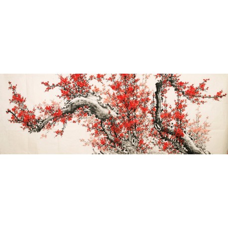 Plum - CNAG004178