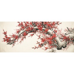 Plum - CNAG004180