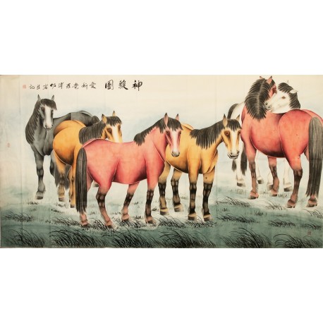 Horse - CNAG004182
