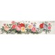 Peony - CNAG004187