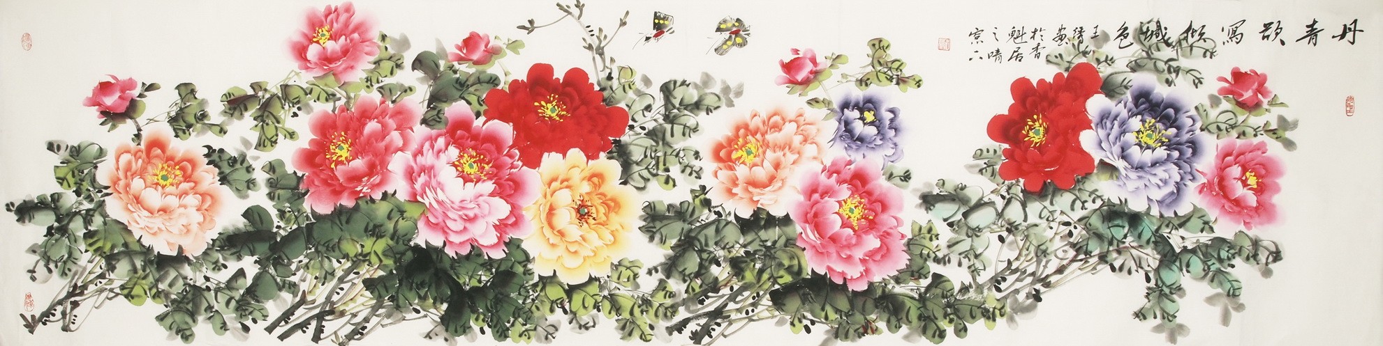 Peony - CNAG004187