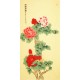 Peony - CNAG000419