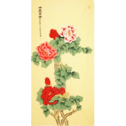 Peony - CNAG000419
