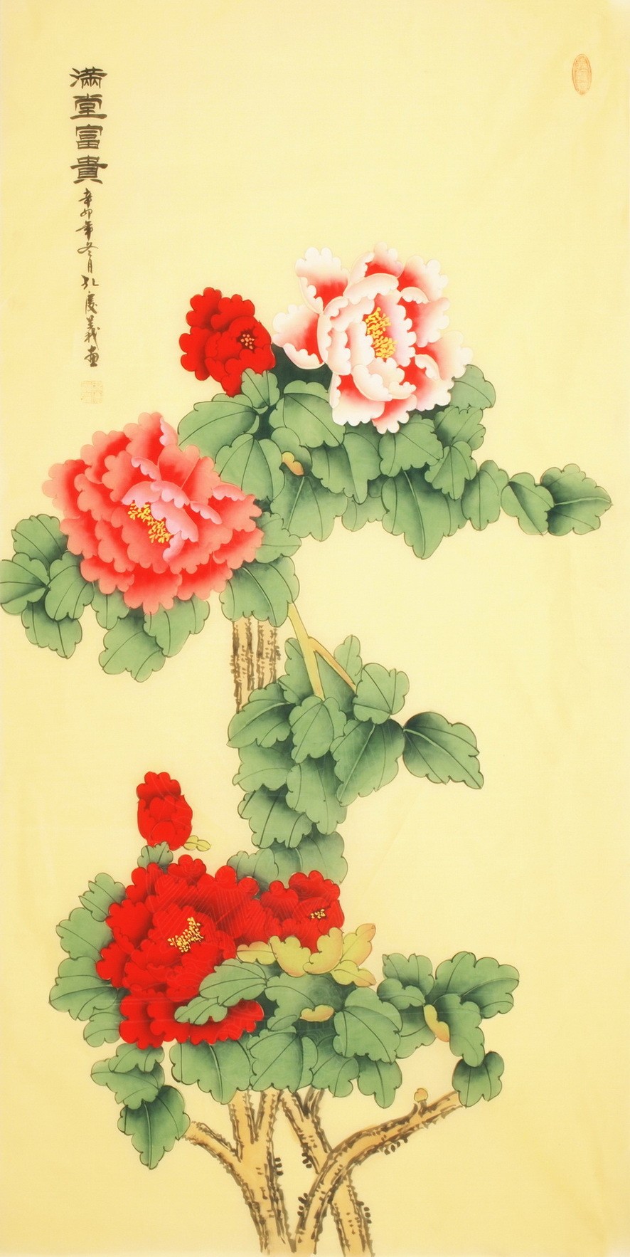 Peony - CNAG000419